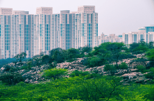 Gurgaon 